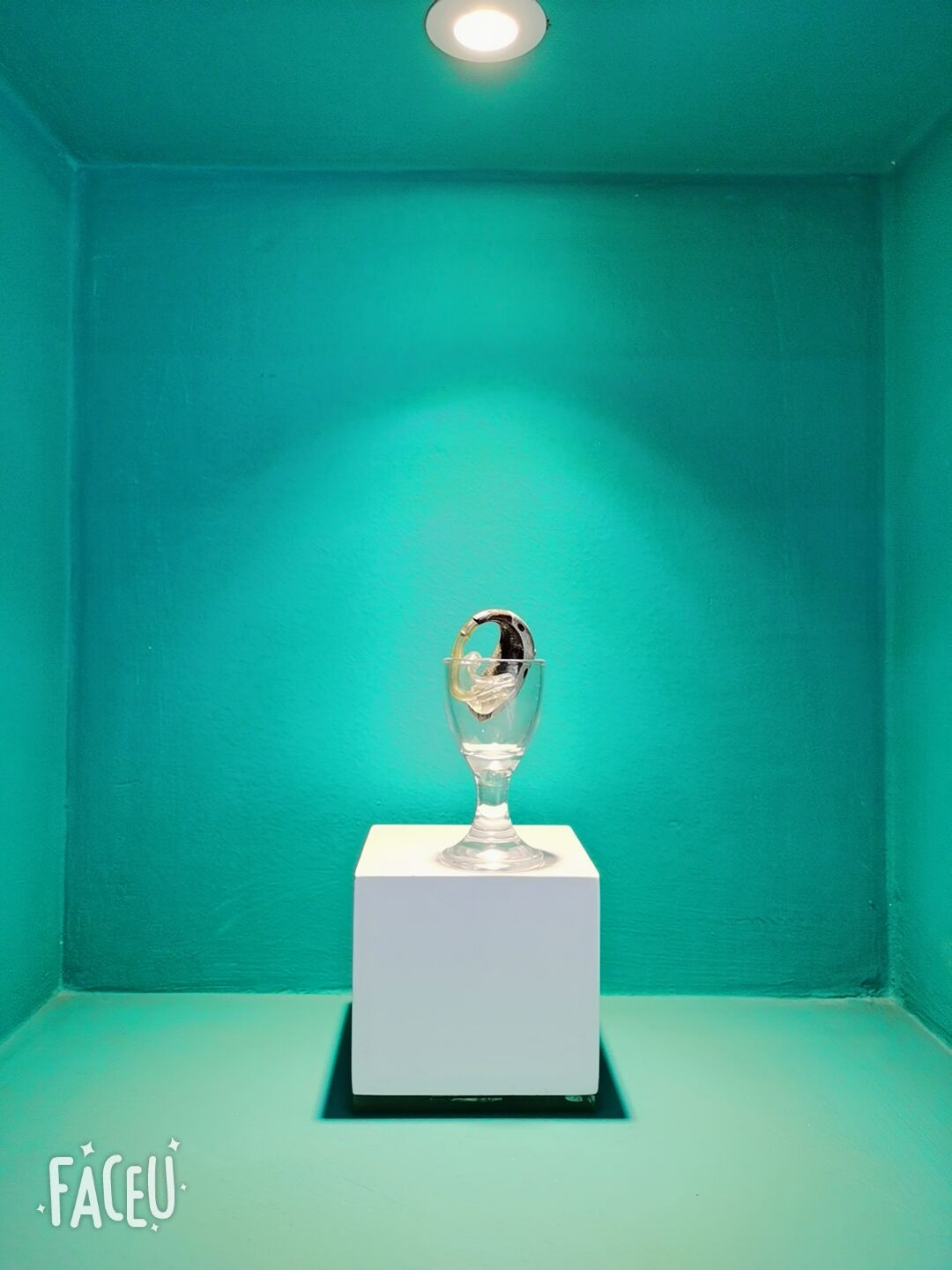 ��ʿ������ ��